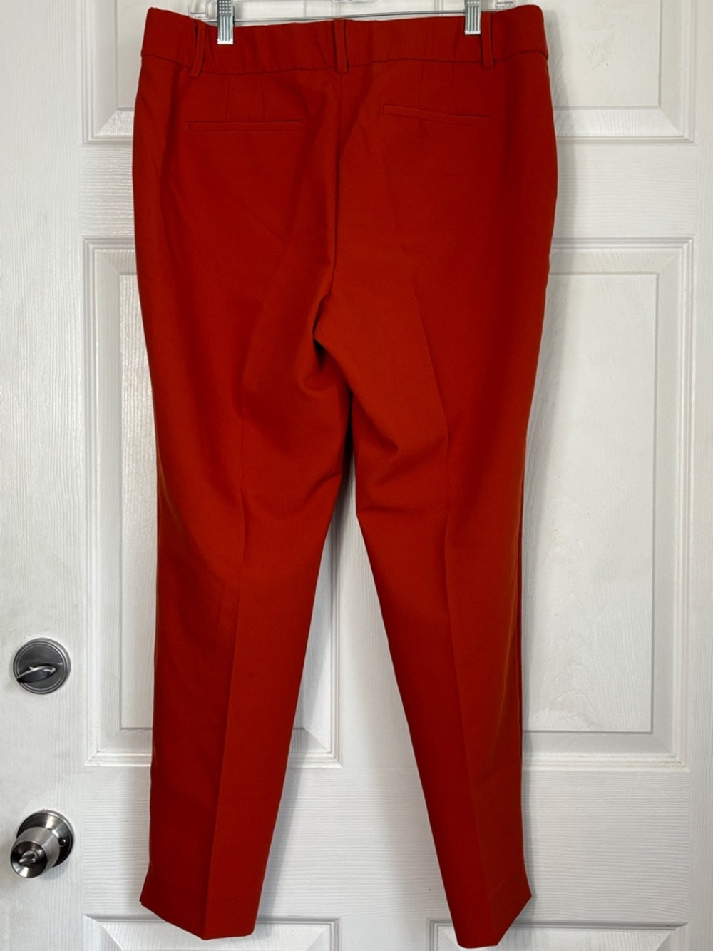 Talbots Hampshire Ankle Pant in vibrant rusty orange Size 12 dressy work pant - Picture 2 of 10
